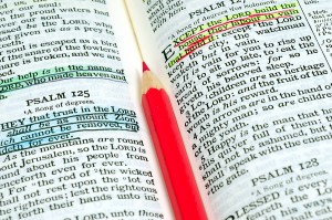 Bible Bible