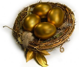 nest egg